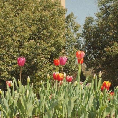 乐鱼app下载手机app下载