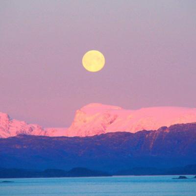 乐鱼app下载手机app下载